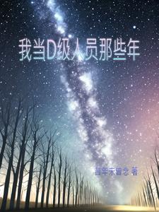 我当D级人员那些年